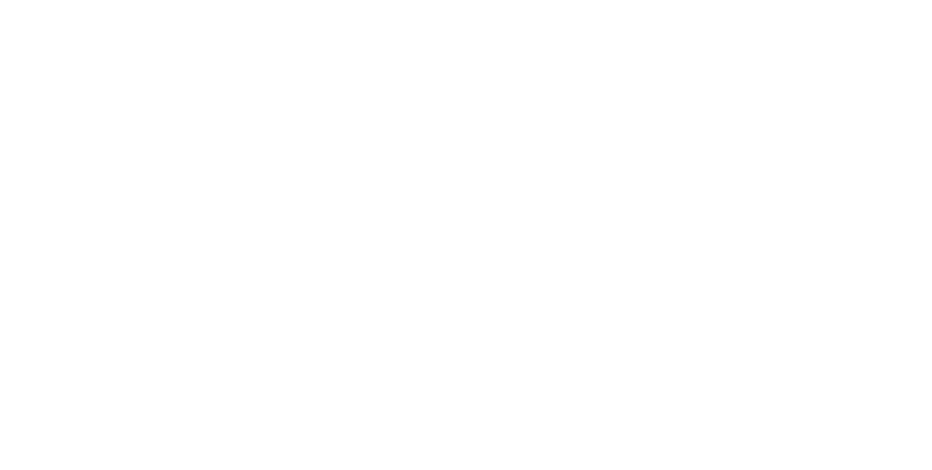Baosight Japan BAOSIGHT